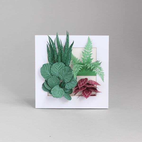 FingerART Desktop Plant Sticker Set - Plant in Frame (Set A)