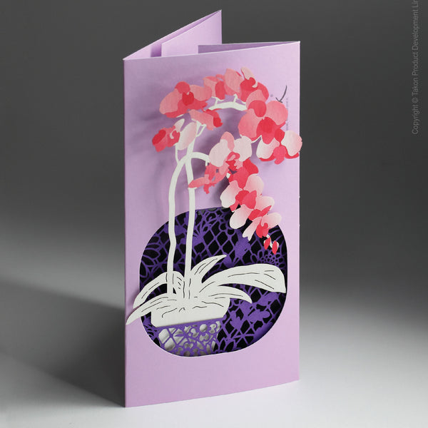 POSTalk Pop-Up Greeting Card - Orchid