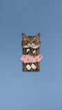 Meowmentos PawMark Card - Mackerel Tabby Cat (Pink Card) #4