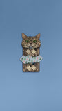 Meowmentos PawMark Card - Classic Tabby Cat (Blue Card) #10