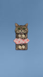 Meowmentos PawMark Card - Classic Tabby Cat (Pink Card) #12