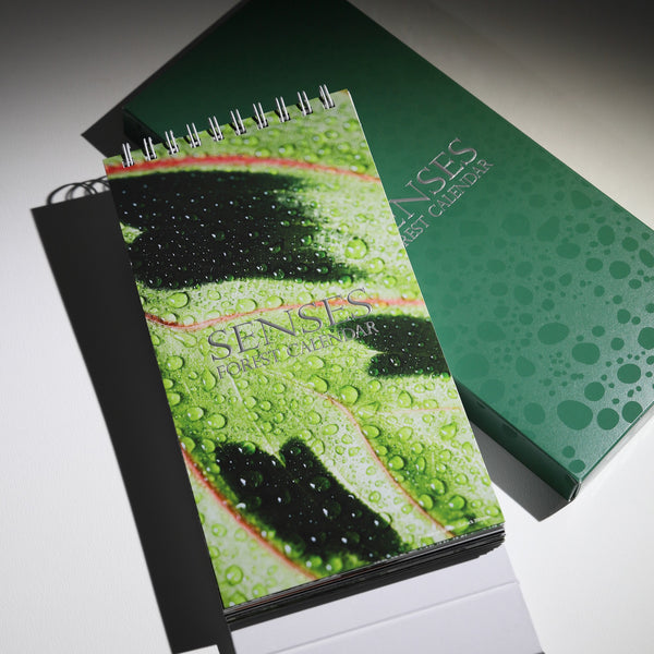 2024 Desktop Calendar - Senses Forest 萬綠叢中座檯月曆