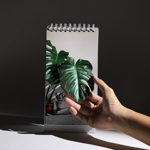 2024 Desktop Calendar - Senses Forest 萬綠叢中座檯月曆