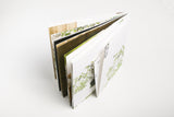 Tiger 老虎 - Publications