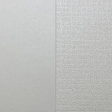 Esse Pearlized A4 Paper 227gsm (Pearlized White - Smooth/Texture)
