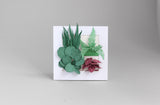 FingerART Desktop Plant Sticker Set - Plant in Frame (Set A)