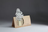 POSTalk Pop-Up Greeting Card - Gypsophila