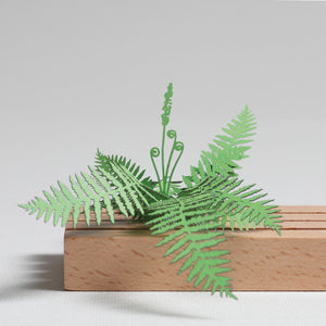 FingerART Desktop Plant Sticker - Cinnamon Fern