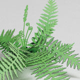 FingerART Desktop Plant Sticker - Cinnamon Fern