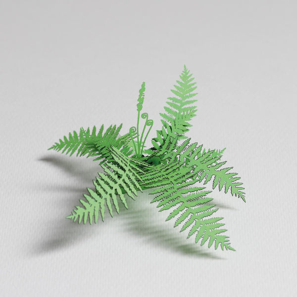 FingerART Desktop Plant Sticker - Cinnamon Fern