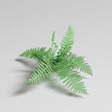 FingerART Desktop Plant Sticker - Cinnamon Fern