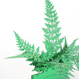 FingerART Desktop Plant Sticker - Lady Fern