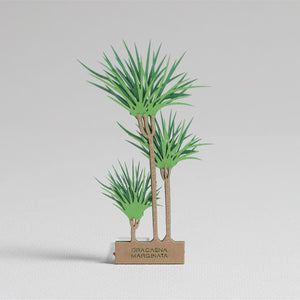 FingerART Desktop Plant Sticker - Dracaena Marginata