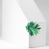 FingerART Desktop Plant Sticker - Platycerium (Staghorn ferns)
