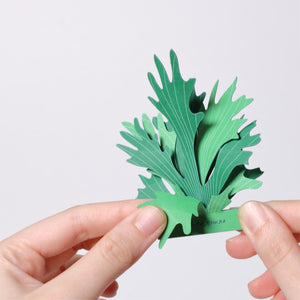 FingerART Desktop Plant Sticker - Platycerium (Staghorn ferns)