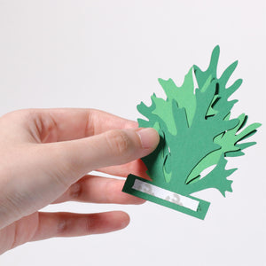 FingerART Desktop Plant Sticker - Platycerium (Staghorn ferns)