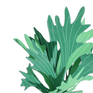 FingerART Desktop Plant Sticker - Platycerium (Staghorn ferns)