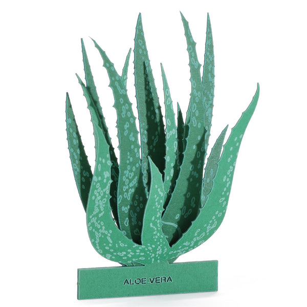 FingerART Desktop Plant Sticker - Aloe Vera