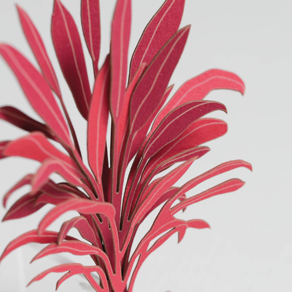 FingerART Desktop Plant Sticker - Cordyline Fruticosa Florica