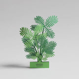 FingerART Desktop Plant Sticker - Mimosa Pudica