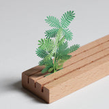 FingerART Desktop Plant Sticker - Mimosa Pudica