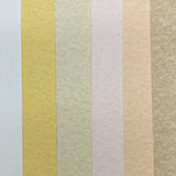 Lorenzo Parchment A4 Paper 220gsm (White/Vellum/Ochre/Rose/Apricot/Tan)