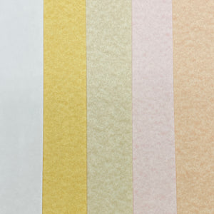 Lorenzo Parchment A4 Paper 100gsm (White/Vellum/Ochre/Rose/Apricot)