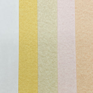 Lorenzo Parchment A4 Paper 100gsm (White/Vellum/Ochre/Rose/Apricot)