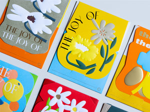 The Joy of… - Red Packet Box Set (24pcs)