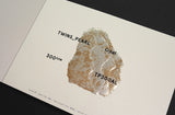 Inspired By Nature - Publications (set of 3)