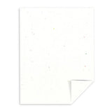 Astrobrights A4 Coloured Cardstock (Stardust White™)